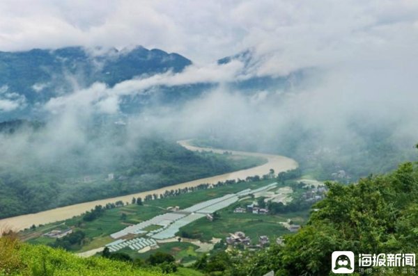 重庆彭水“保家白茶” 塑造“金叶子”的神奇逆袭