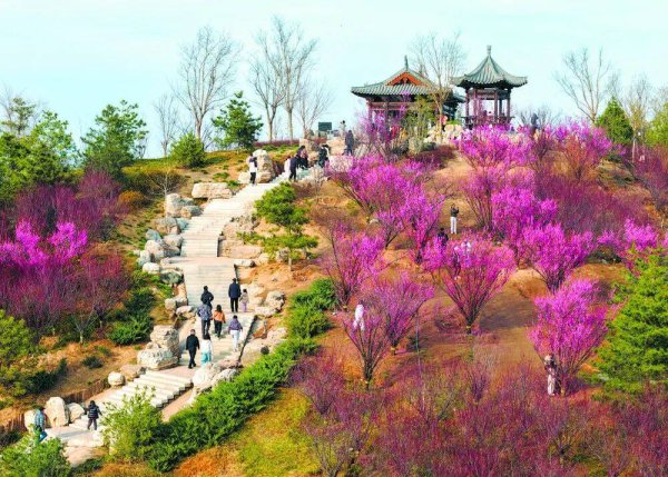 石家庄实现“公园自由”！1031座，总有一座就在你家门口