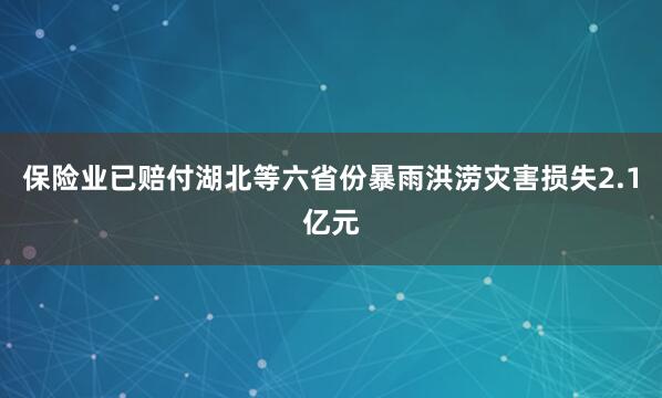 保险业已赔付湖北等六省份暴雨洪涝灾害损失2.1亿元