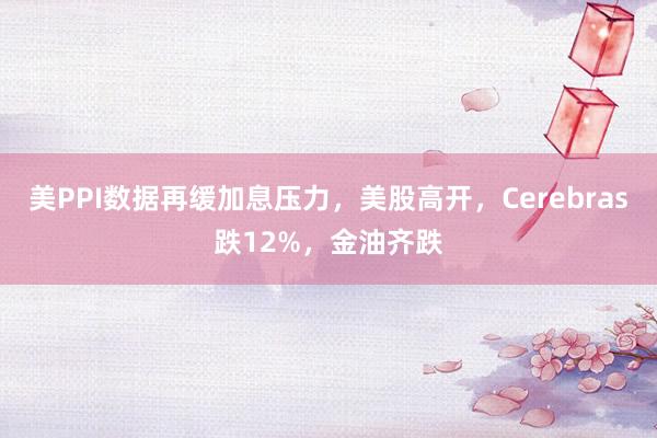 美PPI数据再缓加息压力,美股高开,Cerebras跌12%,金油齐跌