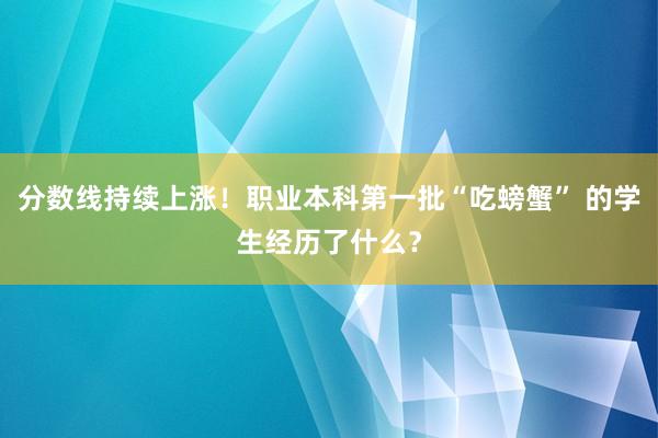 分数线持续上涨！职业本科第一批“吃螃蟹” 的学生经历了什么？
