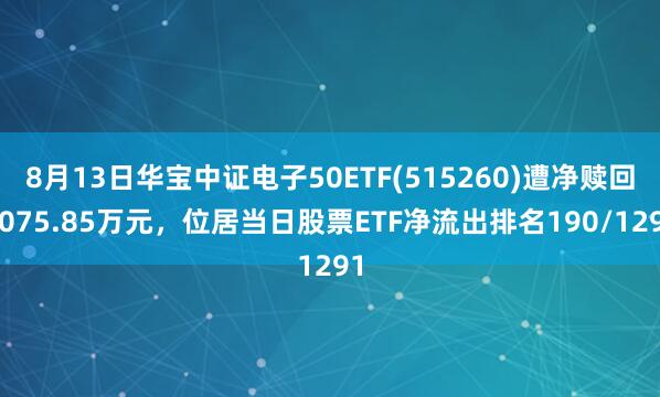 8月13日华宝中证电子50ETF(515260)遭净赎回1075.85万元，位居当日股票ETF净流出排名190/1291