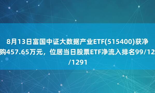 8月13日富国中证大数据产业ETF(515400)获净申购457.65万元，位居当日股票ETF净流入排名99/1291