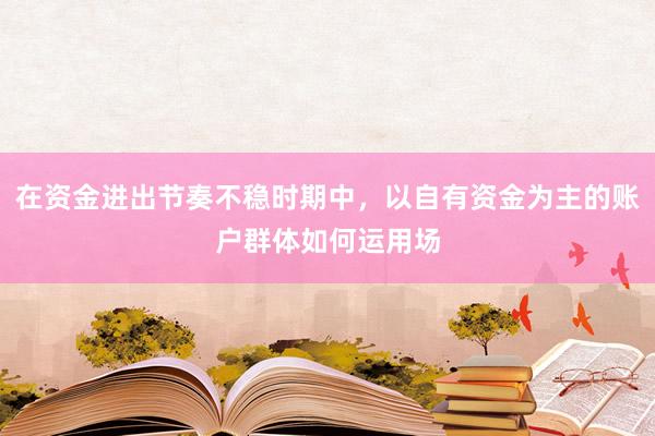 在资金进出节奏不稳时期中，以自有资金为主的账户群体如何运用场