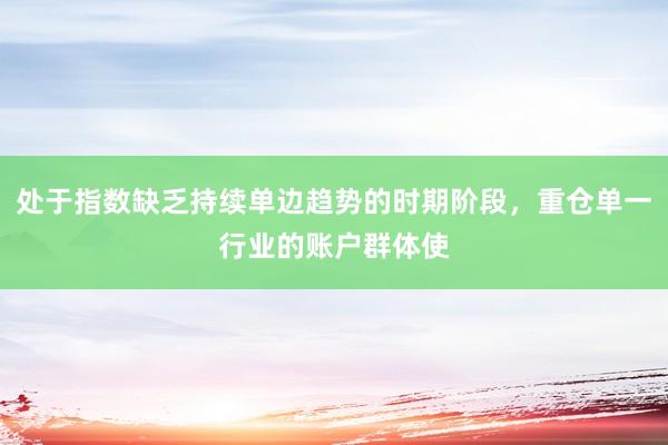 处于指数缺乏持续单边趋势的时期阶段，重仓单一行业的账户群体使