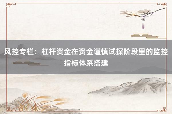风控专栏：杠杆资金在资金谨慎试探阶段里的监控指标体系搭建