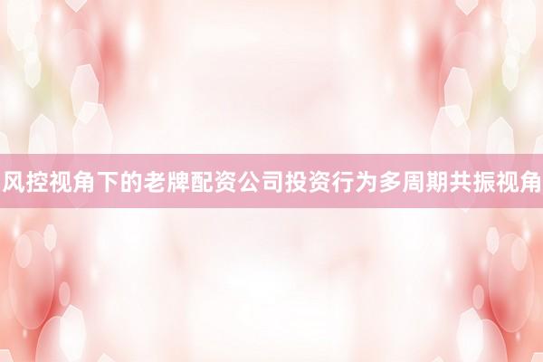风控视角下的老牌配资公司投资行为多周期共振视角