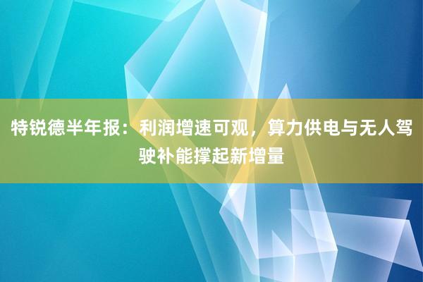 特锐德半年报：利润增速可观，算力供电与无人驾驶补能撑起新增量