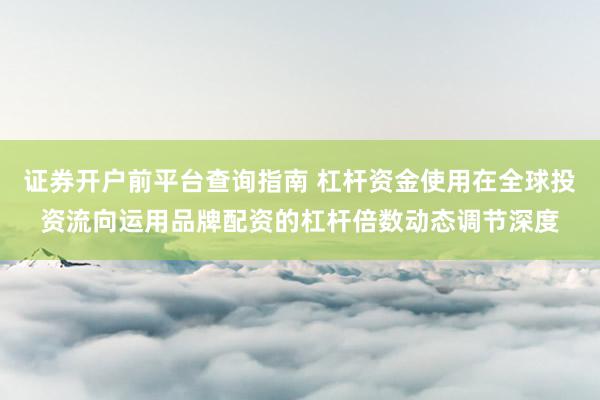 证券开户前平台查询指南 杠杆资金使用在全球投资流向运用品牌配资的杠杆倍数动态调节深度