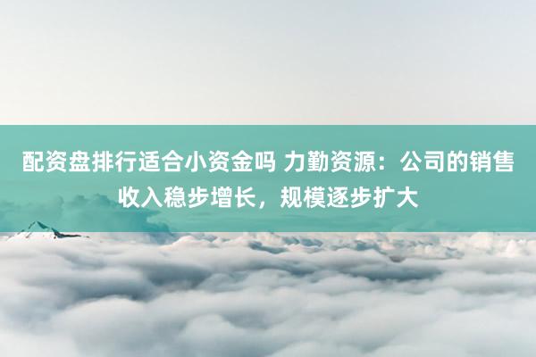 配资盘排行适合小资金吗 力勤资源：公司的销售收入稳步增长，规模逐步扩大