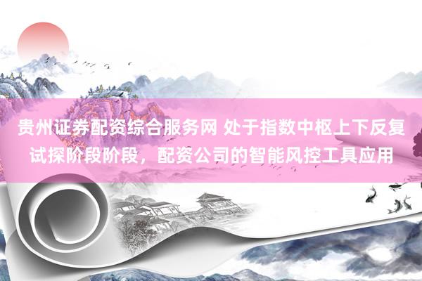贵州证券配资综合服务网 处于指数中枢上下反复试探阶段阶段，配资公司的智能风控工具应用